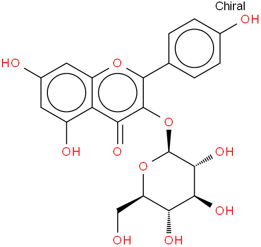 紫云英苷；黄芪苷；山奈酚-3-O-B-D-吡喃葡萄糖苷