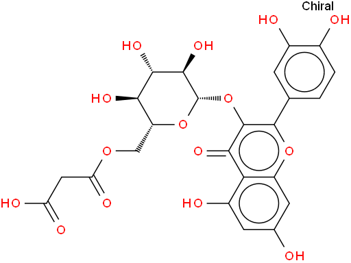 槲皮素-3-O-（6”-O-丙二酰基)-β-D-吡喃葡萄糖苷