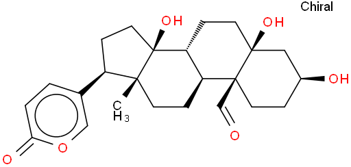 hellebrigenin