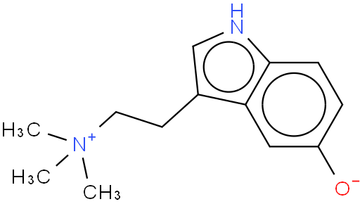 Bufotenidine