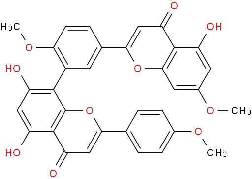 Sciadopitysin